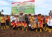 Tingkatkan Perekonomian Warga, Secara Zoom Meeting Kapolres Musi Rawas Bersama Forkompinda Tanam Jagung Serentak Kuartal IV di Desa Air Satan,