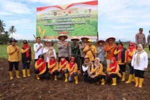 Tingkatkan Perekonomian Warga, Secara Zoom Meeting Kapolres Musi Rawas Bersama Forkompinda Tanam Jagung Serentak Kuartal IV di Desa Air Satan,