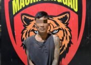 Satuan Reserse Kriminal (Satreskrim) Polres Lubuk Linggau, Polda Sumatera Selatan, berhasil menuntaskan pengejaran terhadap salah satu Target Operasi (TO),,kamis 30/10/2025: