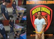 Aksi cepat dan sigap ditunjukkan oleh Tim Macan Unit Pidum Sat Reskrim Polres Lubuk Linggau, Minggu 02/11/2025: