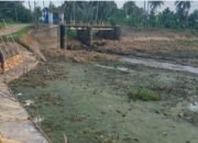 pengeringan saluran irigasi D.I. Air Satan, menimbulkan keluhan bagi petani: Reaksi dan keluhan petani krisis air: Selasa 04/11/2025: