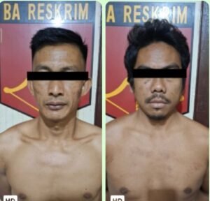 Operasi Sikat II Musi, Polsek BTS Ulu Ringkus Dua DPO Perkara Curat Resahkan Warga ,sabtu 08/11/2025: