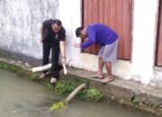 Diduga Sakit Diderita Kambuh, Tim Indentifikasi Polres Musi Rawas dan Polsek Muara Beliti Sigap Evakuasi Korban Tenggelam di Irigasi Desa Tanah Periuk,, Selasa 18/11/2025,,