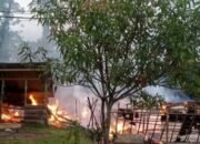 KEBAKARAN HANGUSKAN DUA RUMAH KAYU DI DESA SUKU CINTA, PENYEBAB MASIH DISELIDIKI,rabu 19/11/2025: