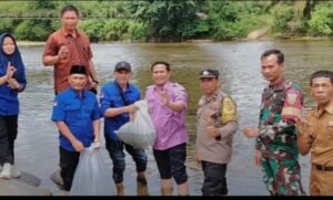 Camat Selangit Tebarkan Ribuan Benih Ikan ke Sungai Lakitan: Senin 24/11/2025: