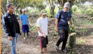 Polsek Megang Sakti Pastikan Viral “Penodongan” di Kebun Sawit Bukan Curas,