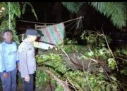 Siswa Tertimpa Pohon Akasia, Polsek BTS Ulu Polres Musi Rawas Sigap Evakuasi Korban,,,