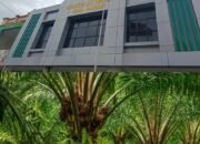 Dugaan tindak pidana korupsi pada kegiatan replanting atau Peremajaan Sawit Rakyat PSR Dinas Perkebunan Diabun di Kabupaten Musi Rawas,, Rabu 21/01/2026: