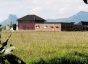 Maraknya alih fungsi lahan persawahan produktif menjadi kawasan industri dan permukiman dan rumah makan di Kabupaten Musi Rawas menuai,,kamis 15/01/2026: