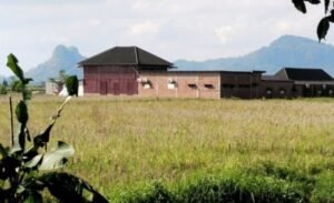 Maraknya alih fungsi lahan persawahan produktif menjadi kawasan industri dan permukiman dan rumah makan di Kabupaten Musi Rawas menuai,,kamis 15/01/2026:
