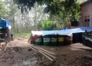 Di duga minyak ilegal terjadi dusun 4 simpang semambang desa lubuk rumbai kecamatan tua negeri kabupaten Musi Rawas sum sel: kamis 05/02/2026: