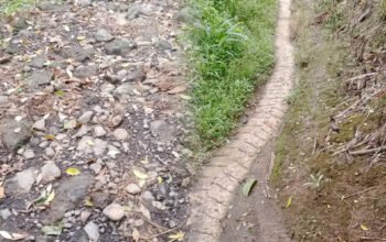 Dugaan Korupsi Dana Desa Rp2,2 Miliar, Warga Pungguk Lalang Resmi Lapor ke Kejari Rejang Lebong