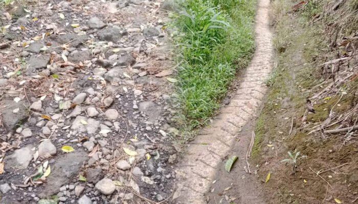 Dugaan Korupsi Dana Desa Rp2,2 Miliar, Warga Pungguk Lalang Resmi Lapor ke Kejari Rejang Lebong